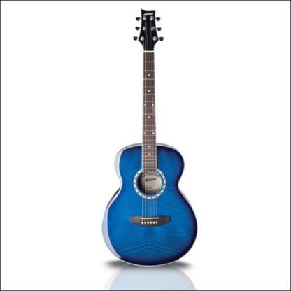 SL29BK - Guitarra Acustica Tipo Apx Negra Con Afinador - Ashton